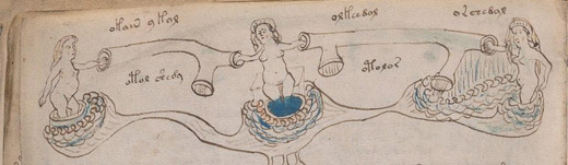 voynich_manuscript_02